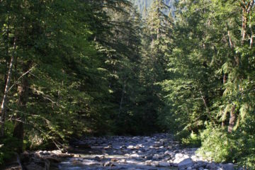 A cool river in the Washington summer.