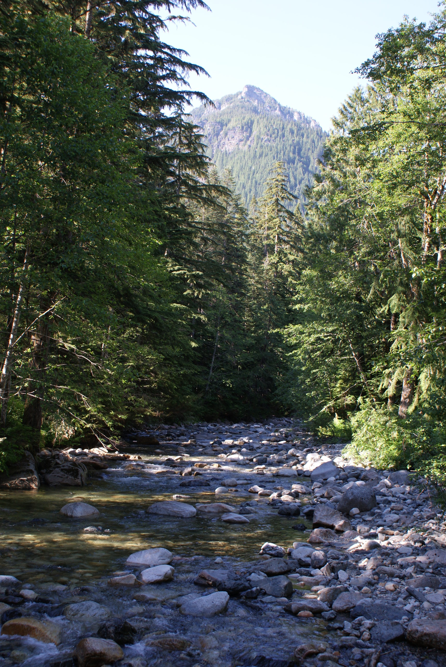 A cool river in the Washington summer.